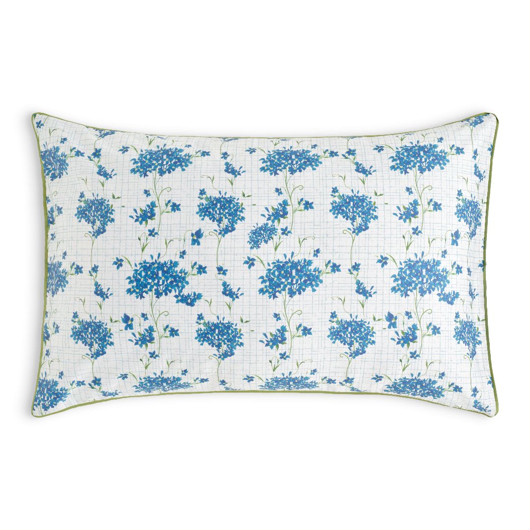 Encanto Sham Pair